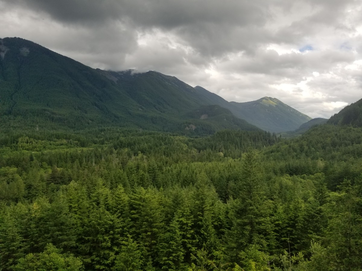 The Struggle Bus&nbsp;Delivers