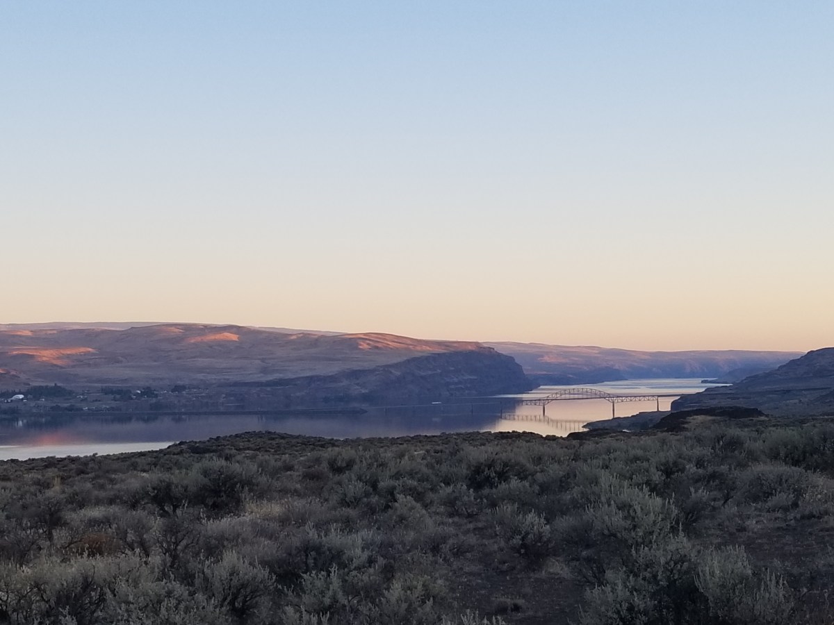 Between Inexperience and&nbsp;Wisdom